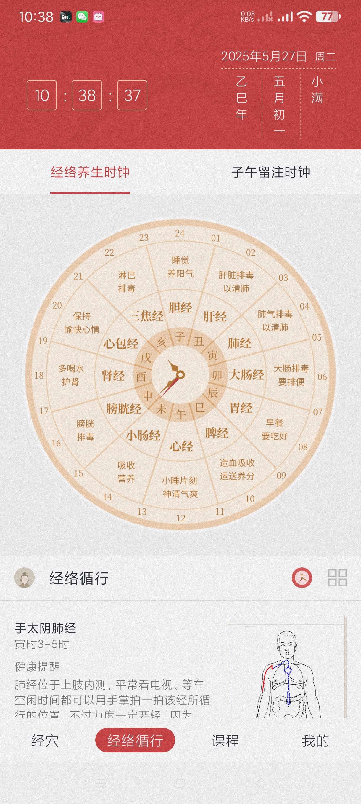 【分享】人体穴位图解1.3🔥自学针灸推拿~了解穴位~视频教程