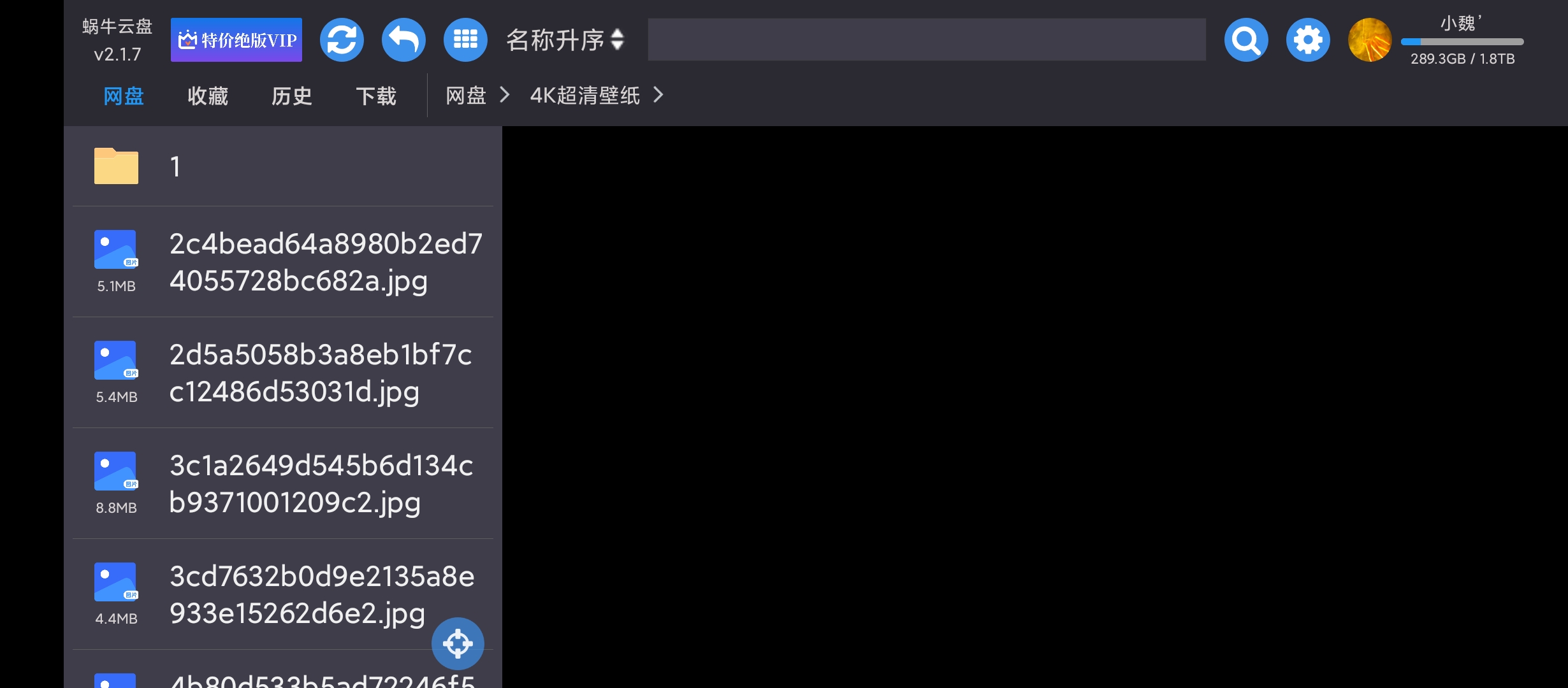 【分享】蜗牛云盘车机版🔥V2.2.3🔥基于阿里云盘制作