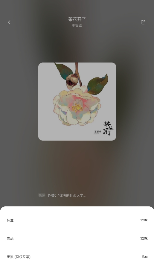 【分享】元力音乐 1.2.2🔥支持导入歌单❣️承诺永久免费❣️