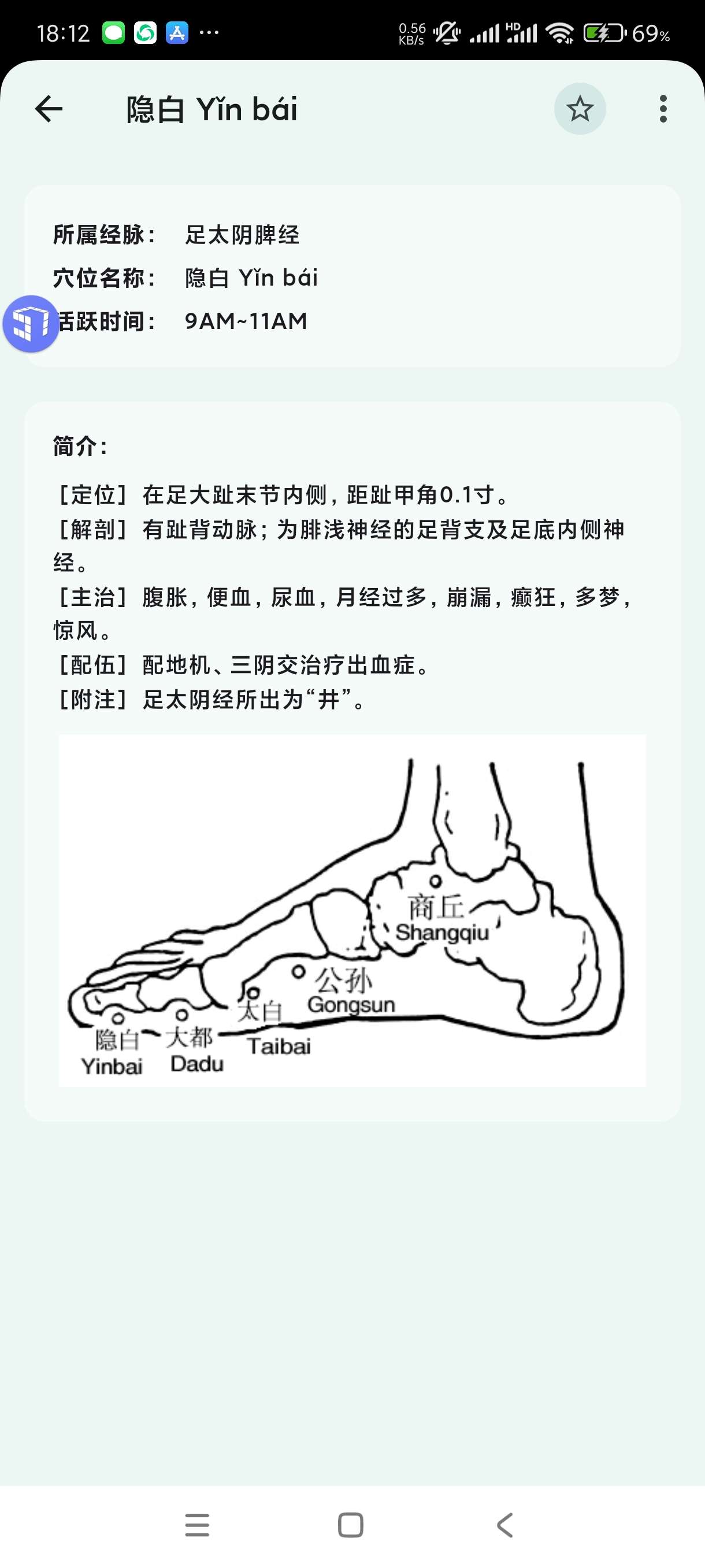 【分享】人体穴位图解3.1.5🔥适合针灸中医！治内科肾虚必备！