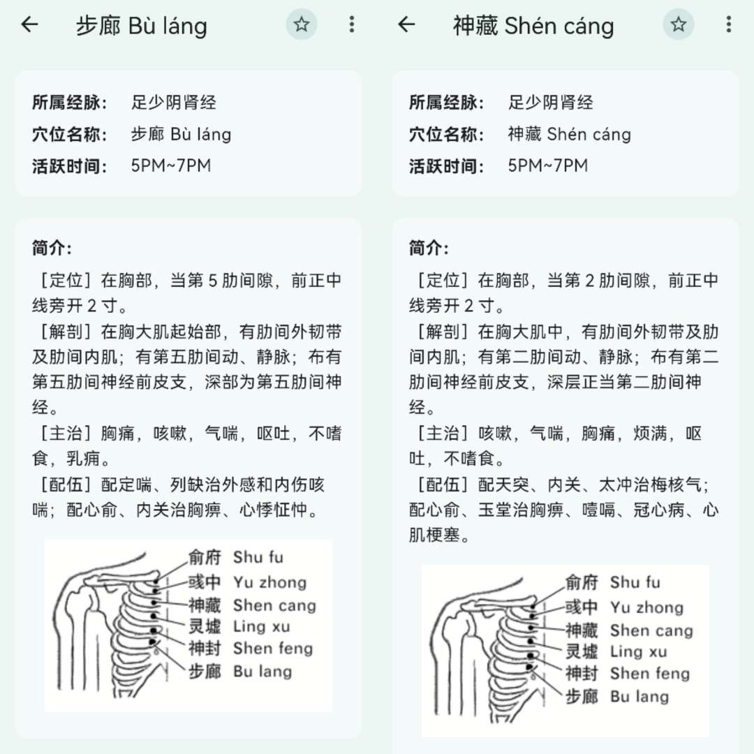 【安卓分享】人体穴位图解 v3.1.5 去广告版