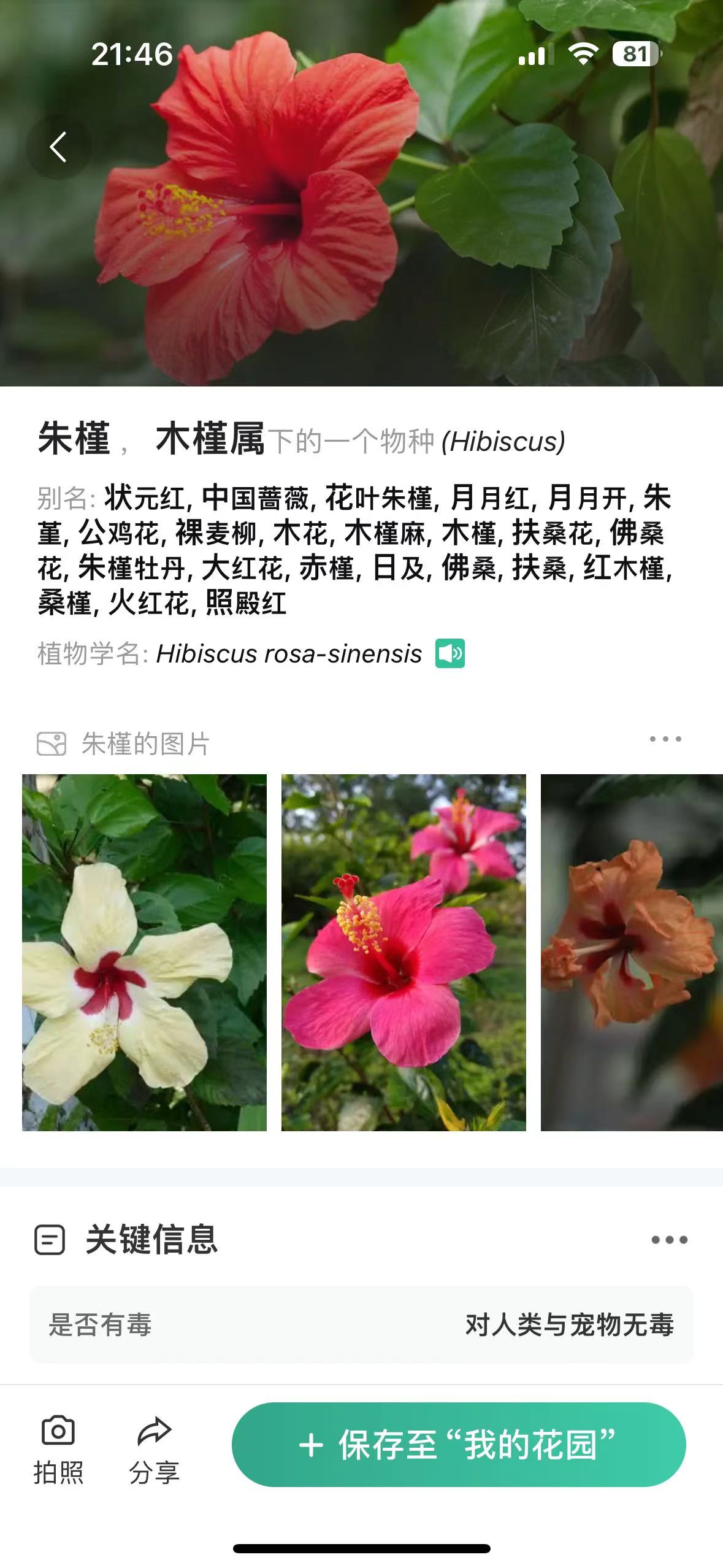 【iOS专属合集贴】vivacut会员版🍁美颜相机🍁植物查询