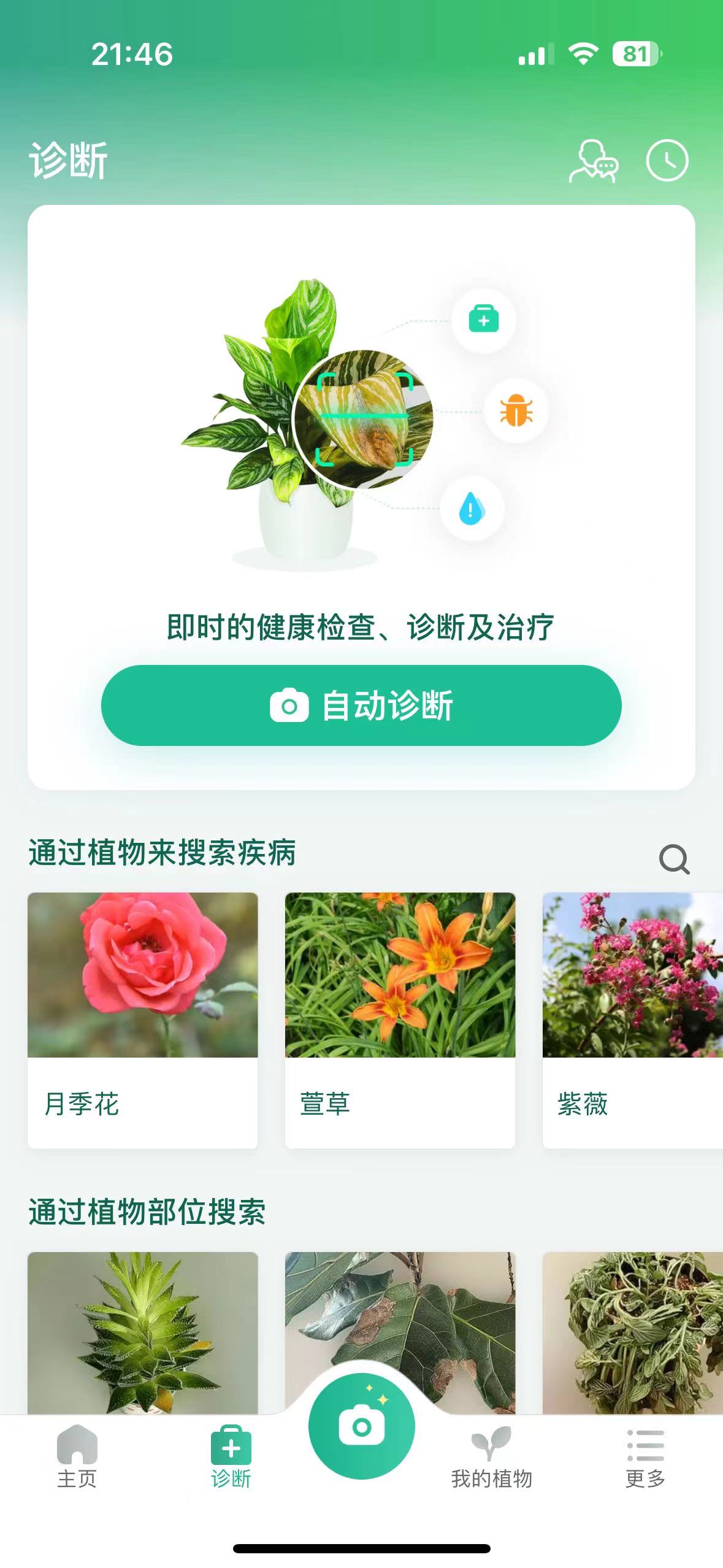 【iOS专属合集贴】vivacut会员版🍁美颜相机🍁植物查询