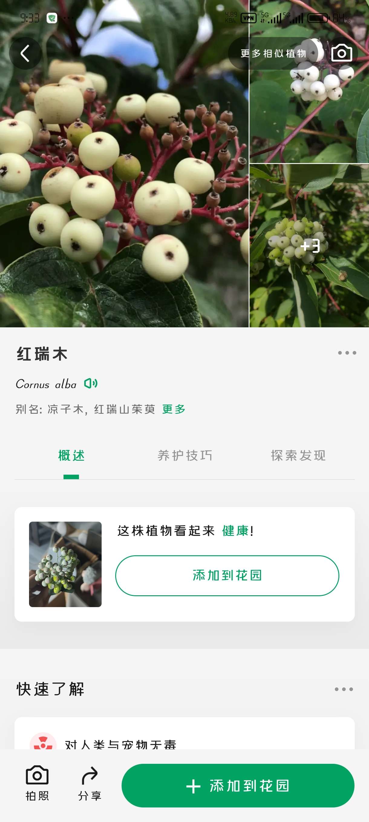 （分享）植物识别付费高级版，可用做自媒体科普赛道